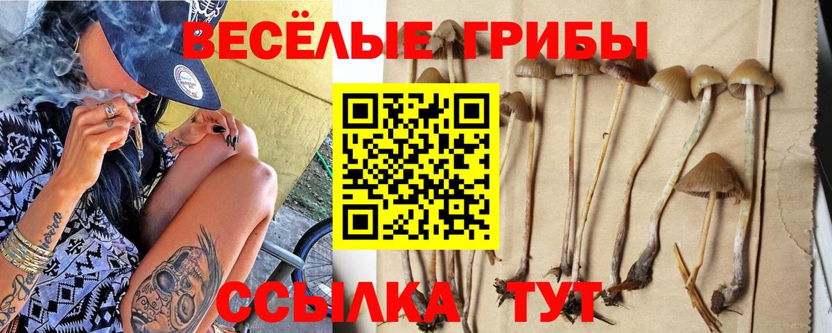Галлюциногенные грибы мухоморы  Вход с VPN  Псилоцибиновые грибы MAGIC MUSHROOMS  Гусев 